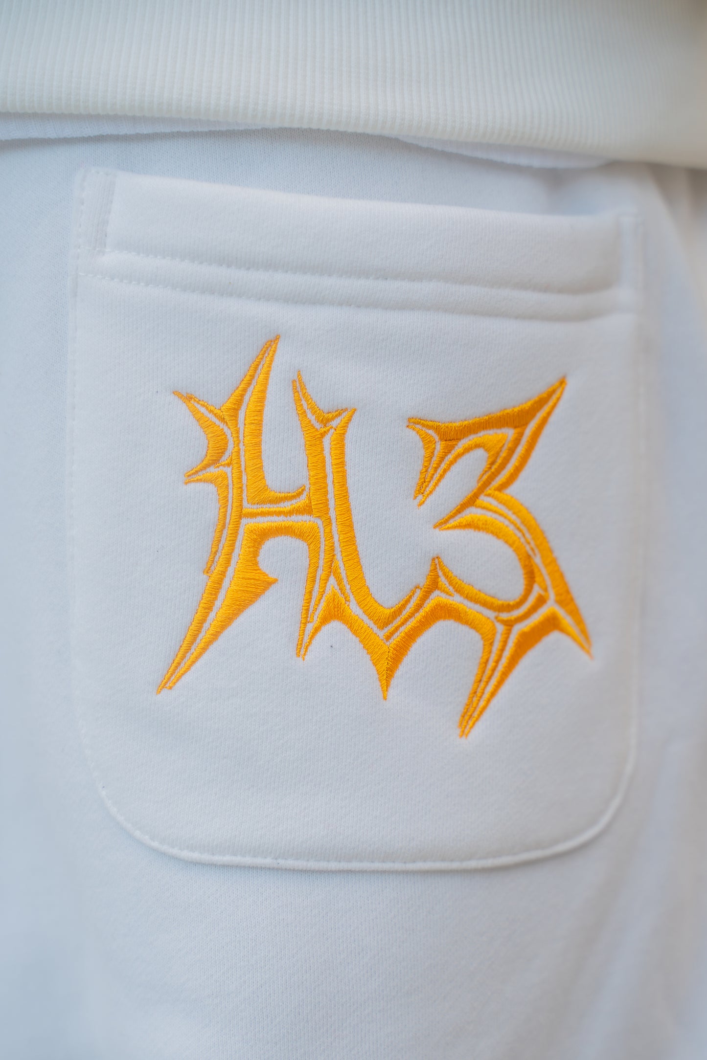 Pre-Order "Ice Ryu" Sweatpants