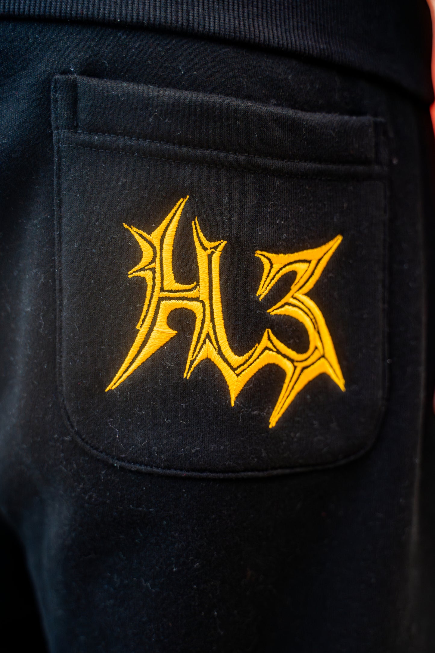 Pre-Order "Earth Ryu" Sweatpants