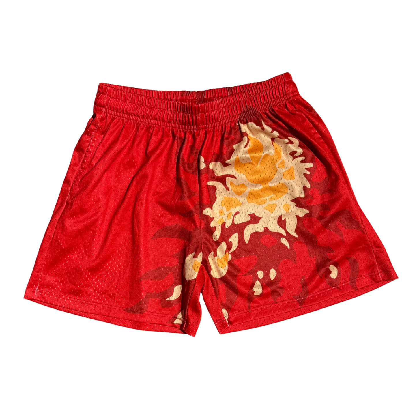 "Fire Energy" Shorts