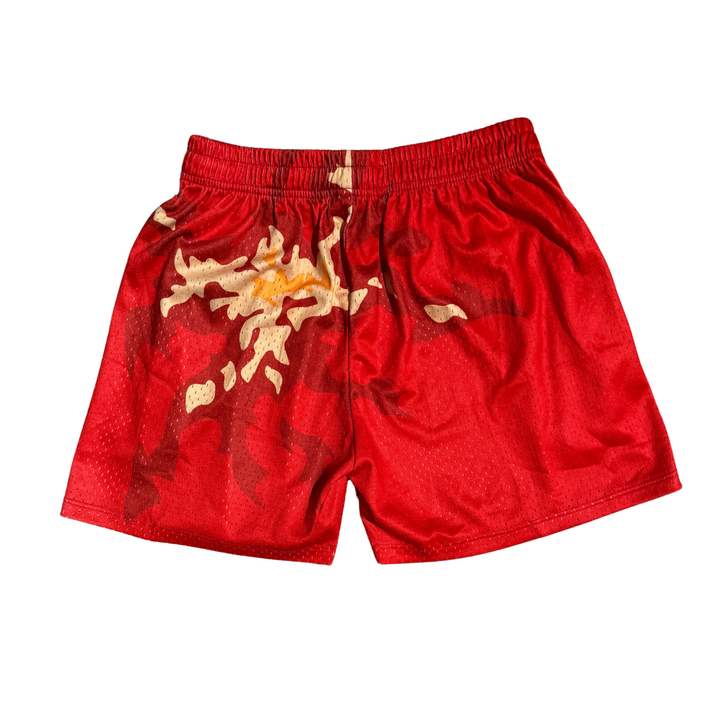 "Fire Energy" Shorts